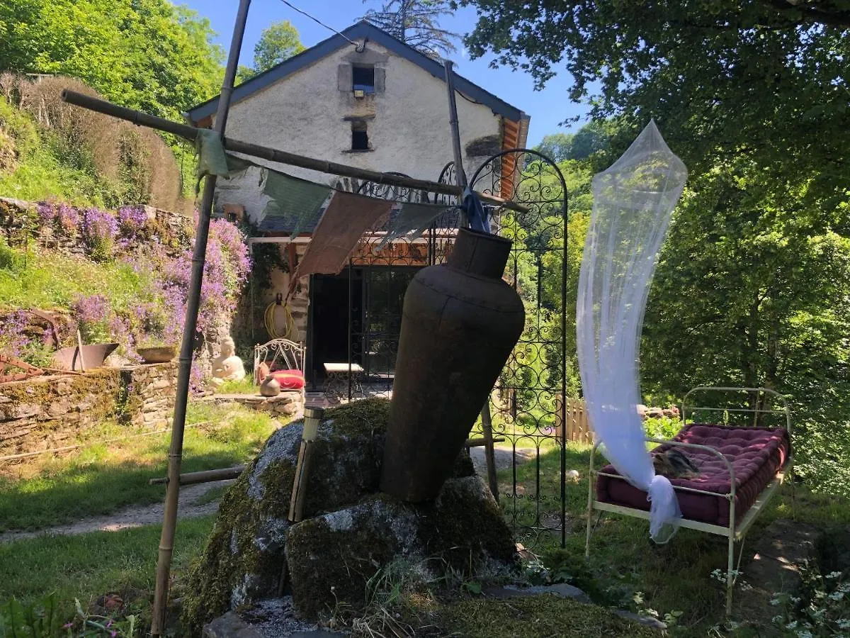 Gite Terra Bosca Cambounes France