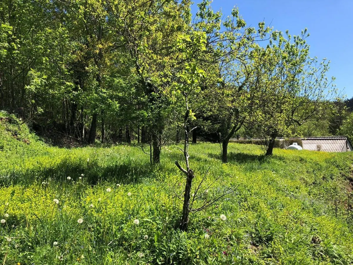 Gite Terra Bosca Cambounes Διαμέρισμα